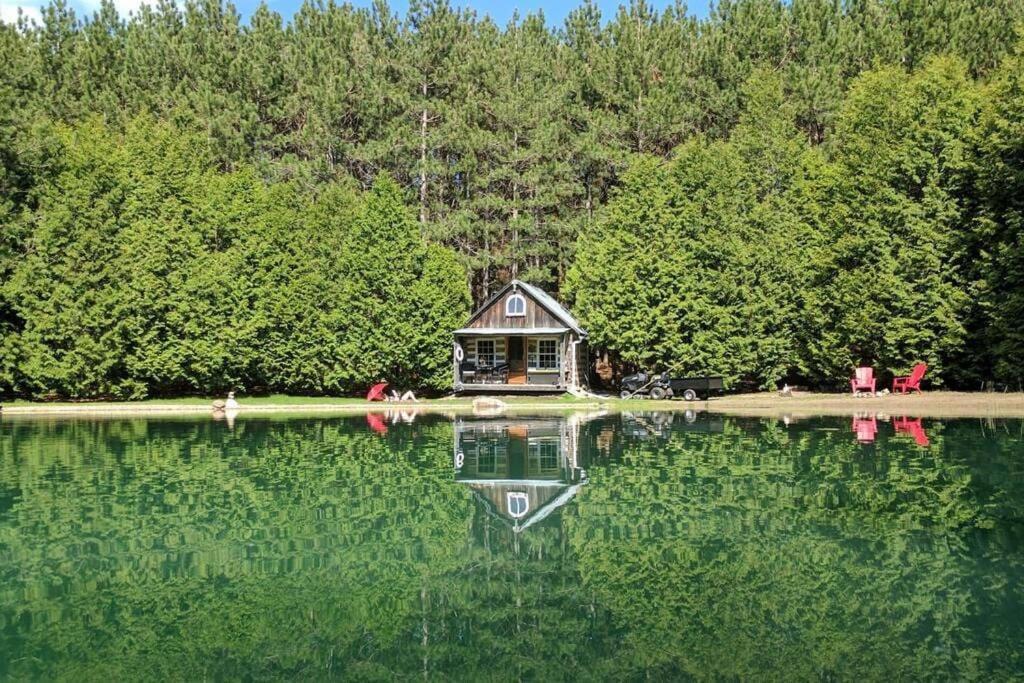 A Rustic Cabin In The Woods أورنجفيل المظهر الخارجي الصورة