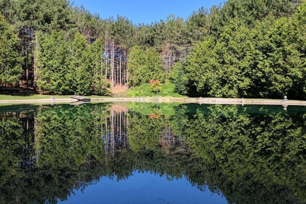 A Rustic Cabin In The Woods أورنجفيل المظهر الخارجي الصورة