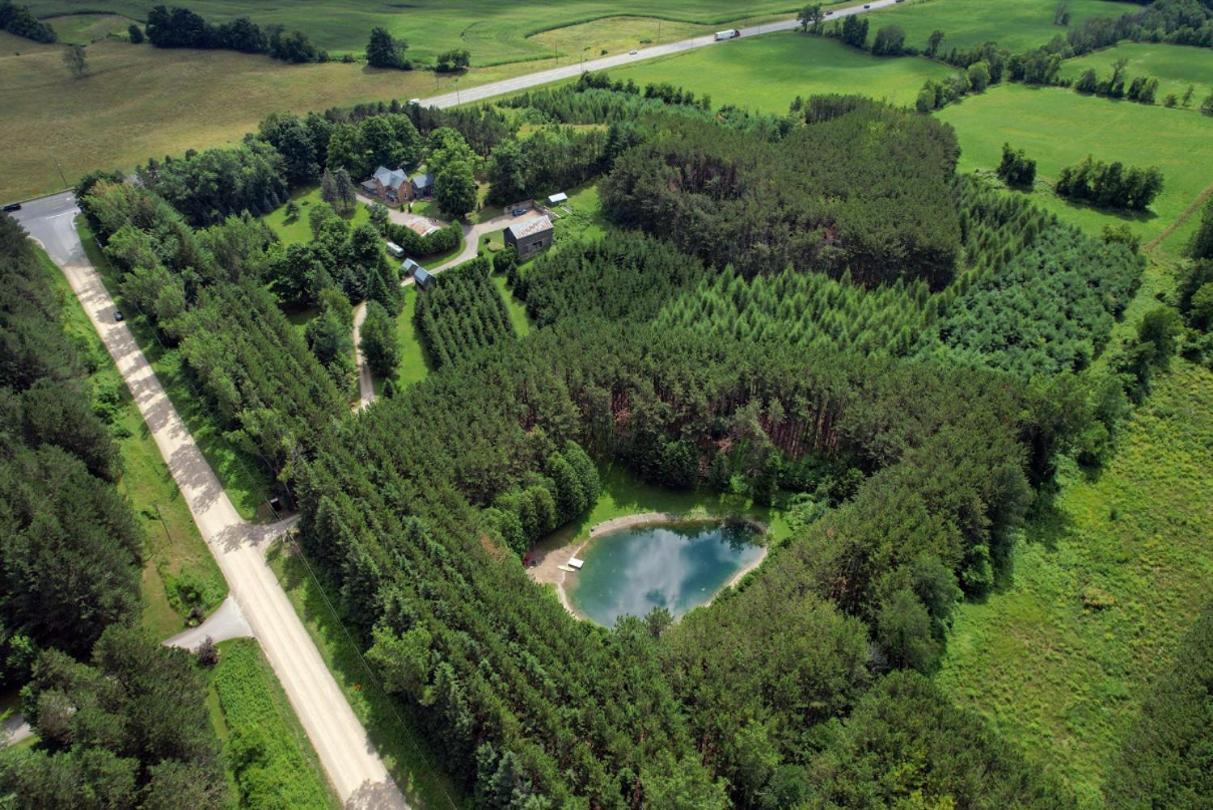 A Rustic Cabin In The Woods أورنجفيل المظهر الخارجي الصورة